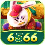 6566 Profile Picture