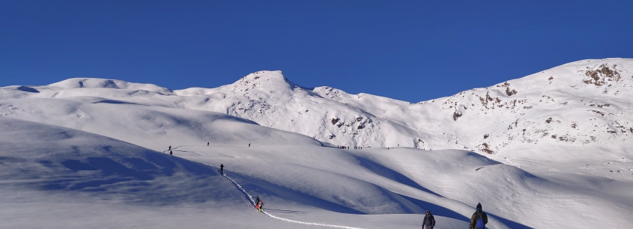 Trek The Himalayas Cover Image