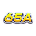 65a Official Online Sports Profile Picture