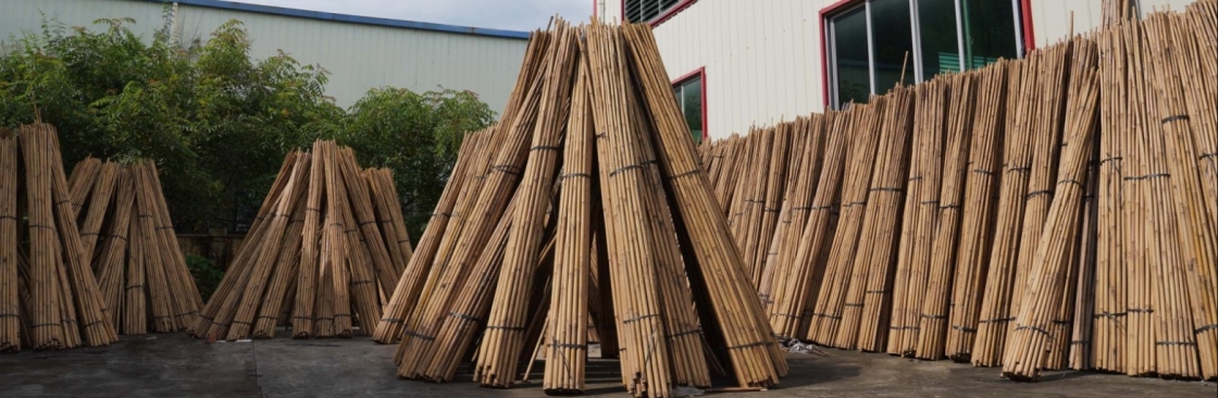 Vantide Bamboo Cover Image