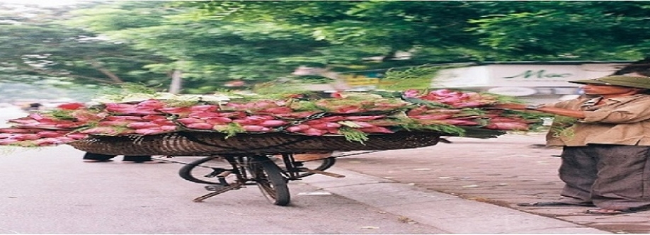 INSCENTIVE LLC Cover Image