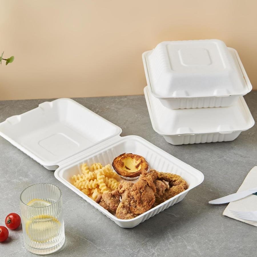 Disposable Hub Disposable Take Away Boxes – Reliable Food Packaging Solutions