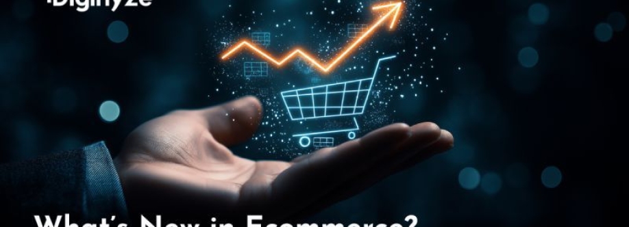 Diginyze eCommerce Cover Image