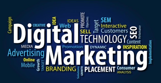 Industry-Focused Digital Marketing Courses in Bangalore
