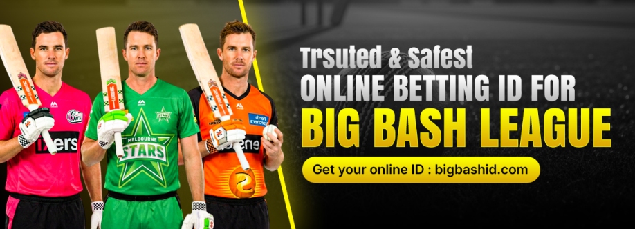 Big bashid Cover Image