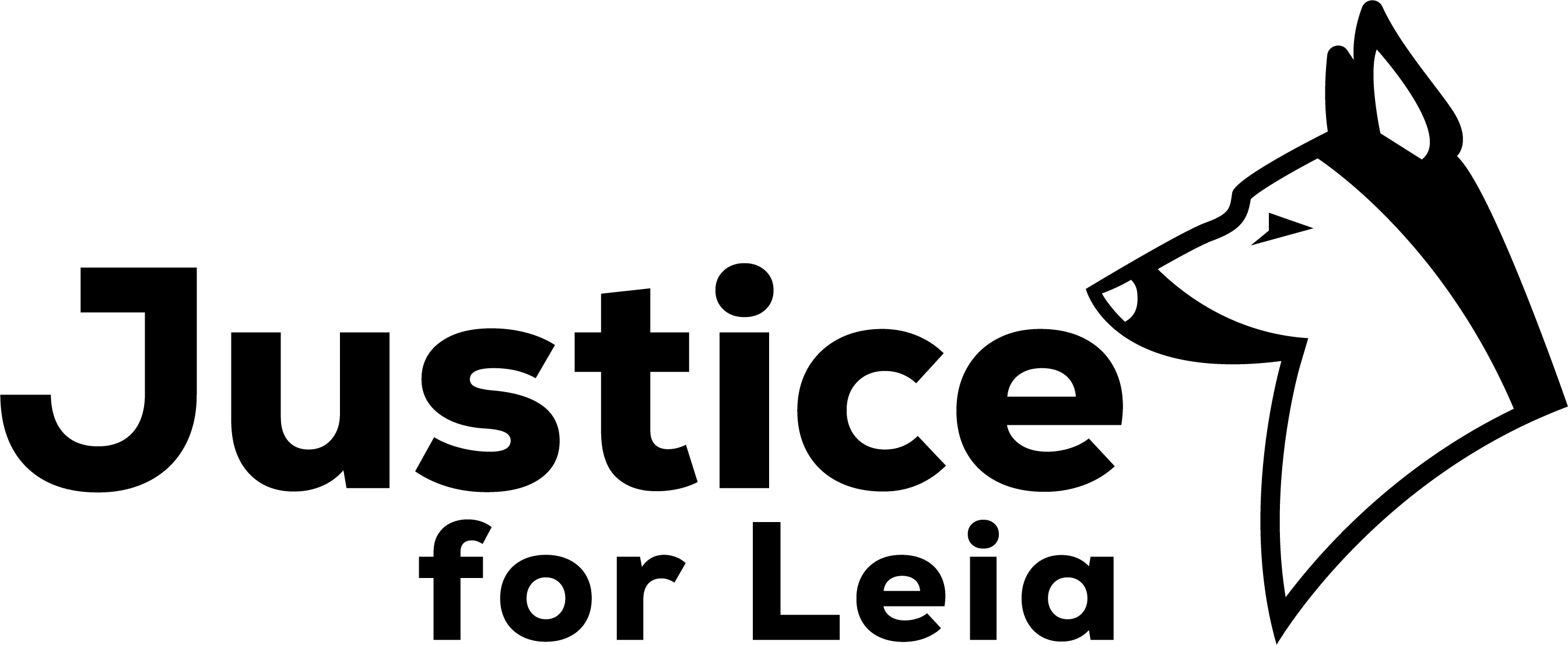 Hidden Toxins in Dog Grooming Products Every Owner Should Know