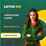 lotus exchange Profile Picture