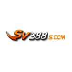 SV388 Scom Profile Picture