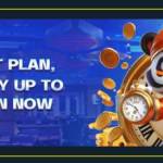 TAYAZONE Profile Picture