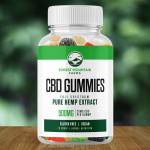 melissaconnellyy Profile Picture