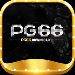 PG66 Download Profile Picture