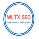 WPSQM Wordpress Speed Optimization Ser Profile Picture