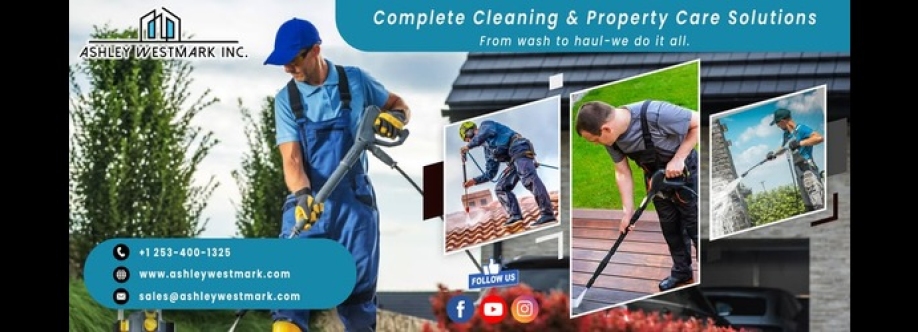 Ashley Westmark Inc Cover Image