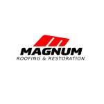 Magnum Roofing & Restoration Profile Picture