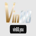 VIN88 Profile Picture