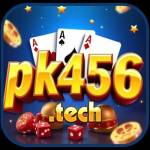 Pk456tech Profile Picture